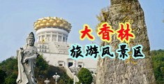 大鸡鸡插小骚逼视频中国浙江-绍兴大香林旅游风景区